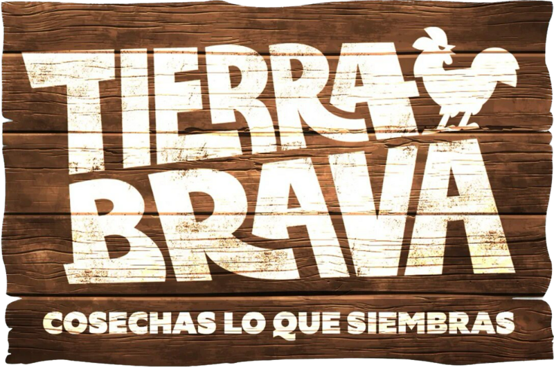 Archivo:Logo Tierra Brava Canal 13.png